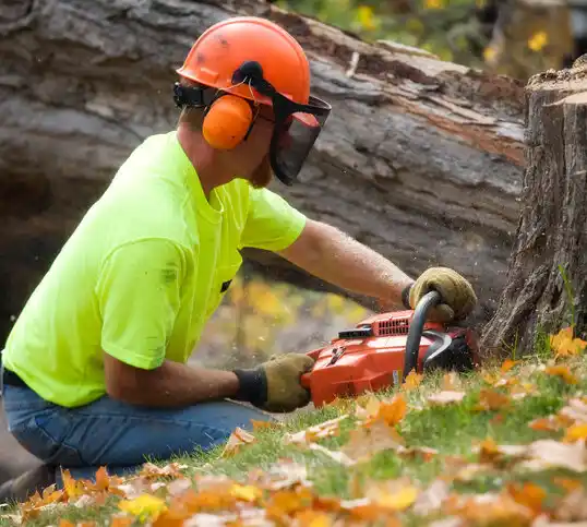 tree services Deer Lodge